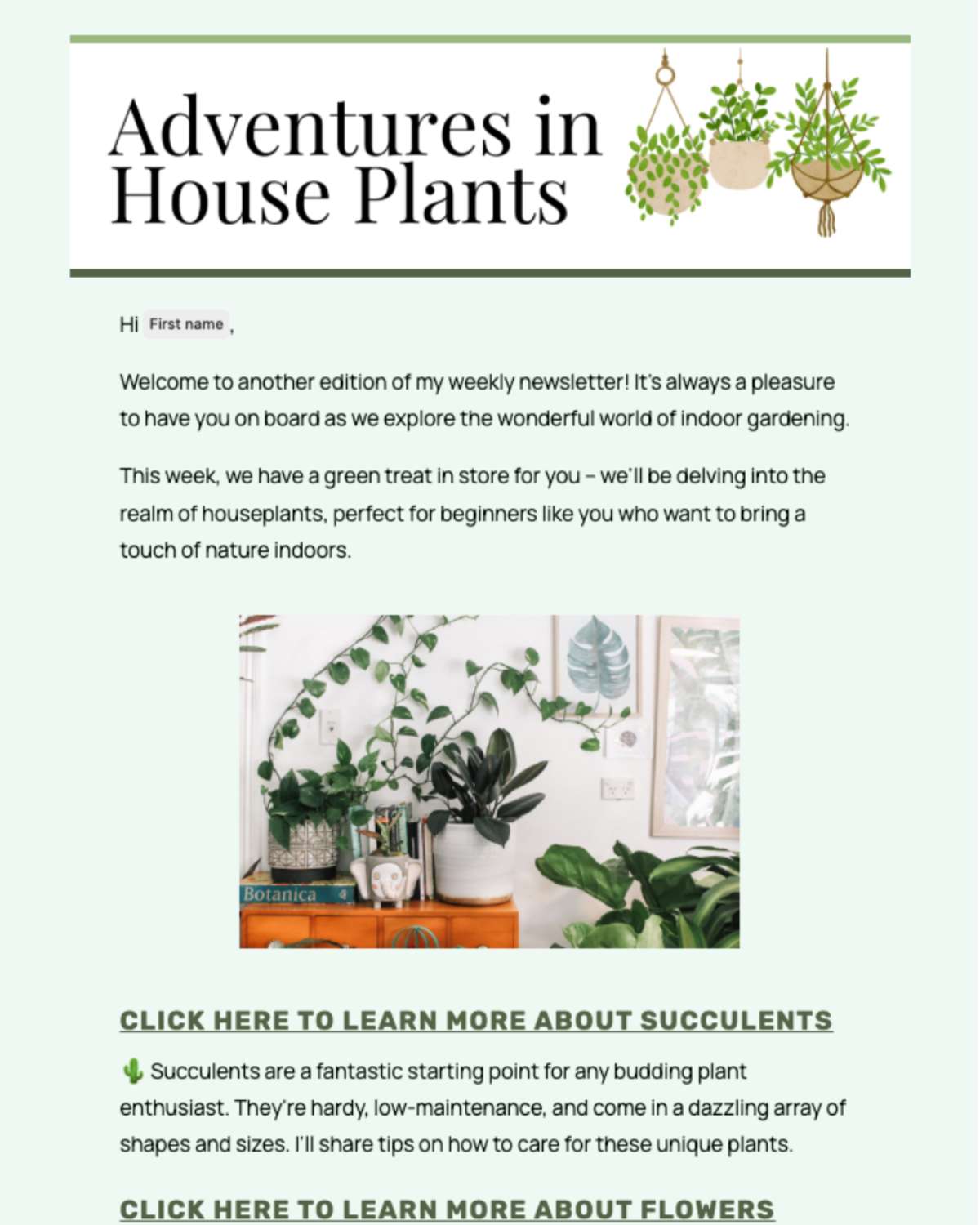 Email newsletter example 1