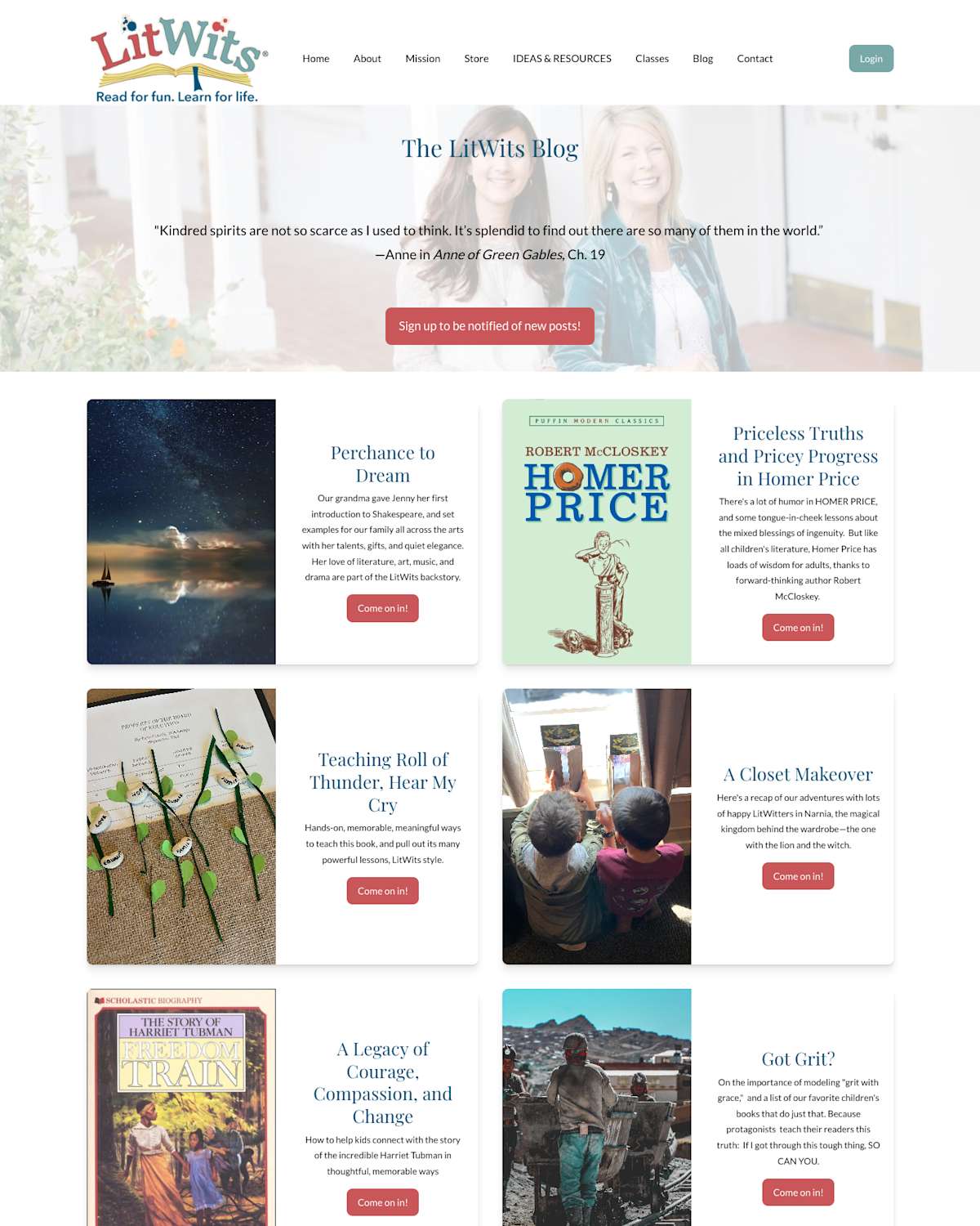 Blog screenshot 6