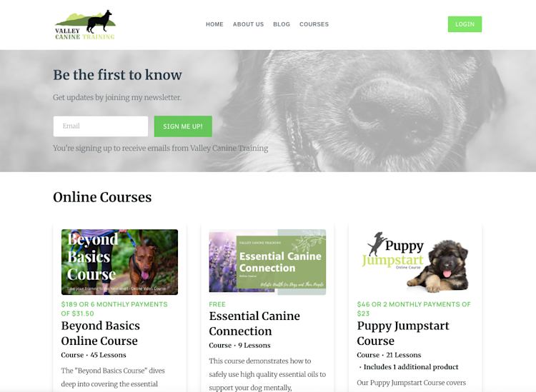 Valley Canine Training courses